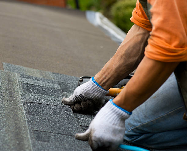 Best Shingle Roofing Installation  in Angels, CA